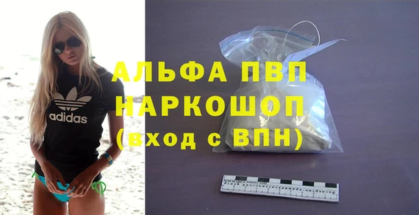 прущие грибы Шарыпово