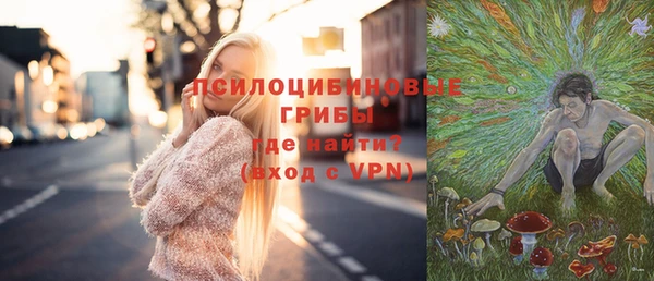 бошки Нефтегорск